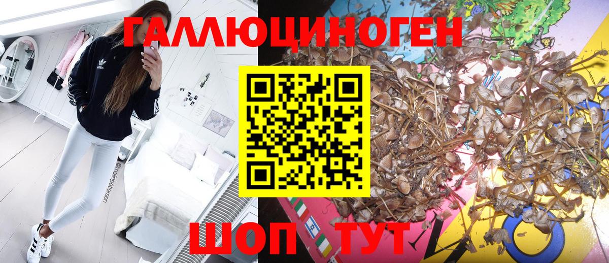 Псилоцибиновые грибы мицелий  Псилоцибиновые грибы Cubensis  Барабинск  Вход с VPN 